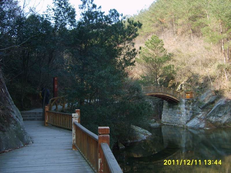 s5006734.jpg2.jpg