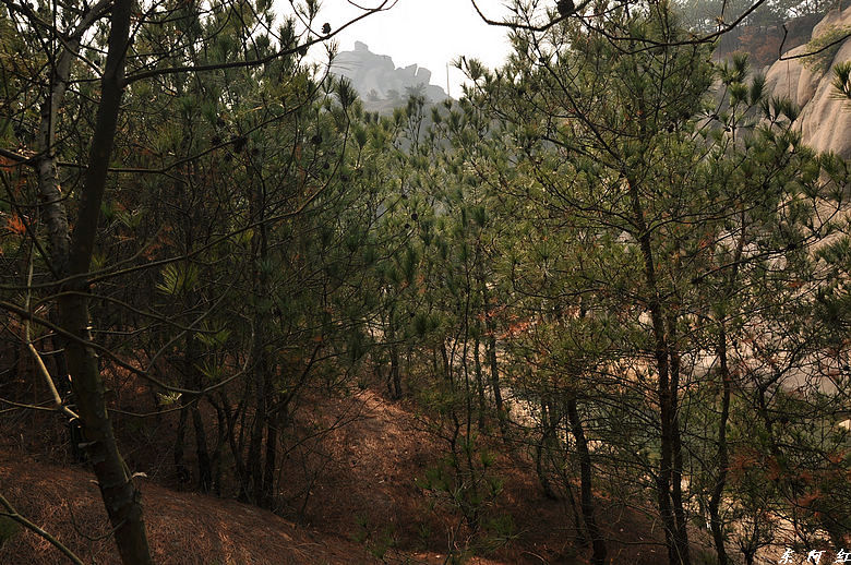 dsc_2933.jpg