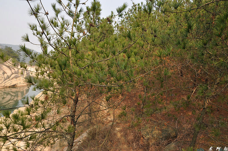 dsc_2940.jpg
