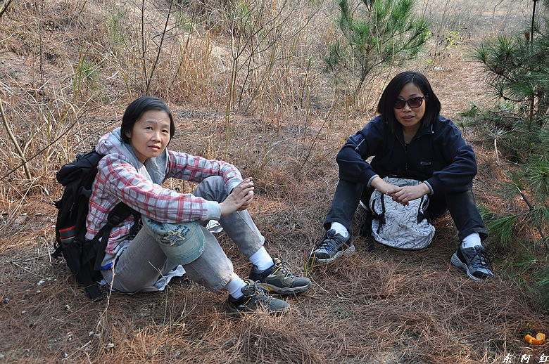dsc_2946.jpg