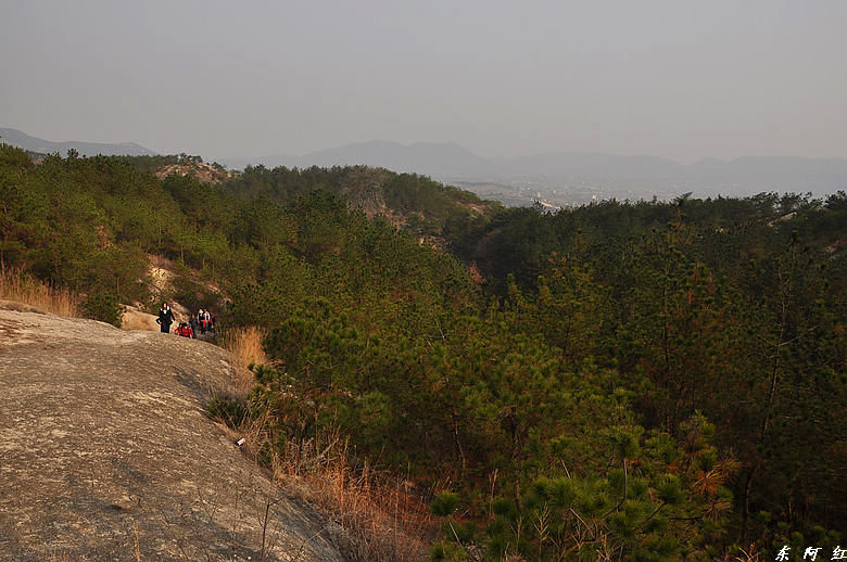 dsc_3006.jpg