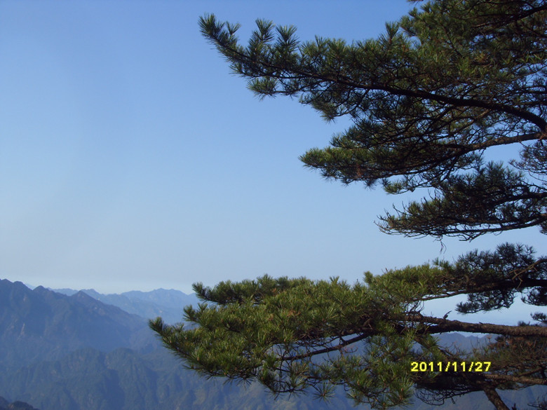 sdc13372_.jpg