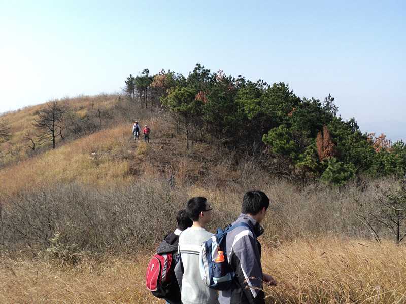 dsc06601_.jpg