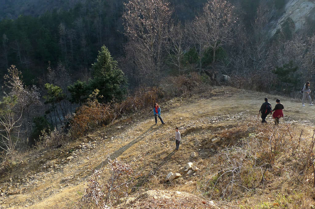 p1050964.jpg