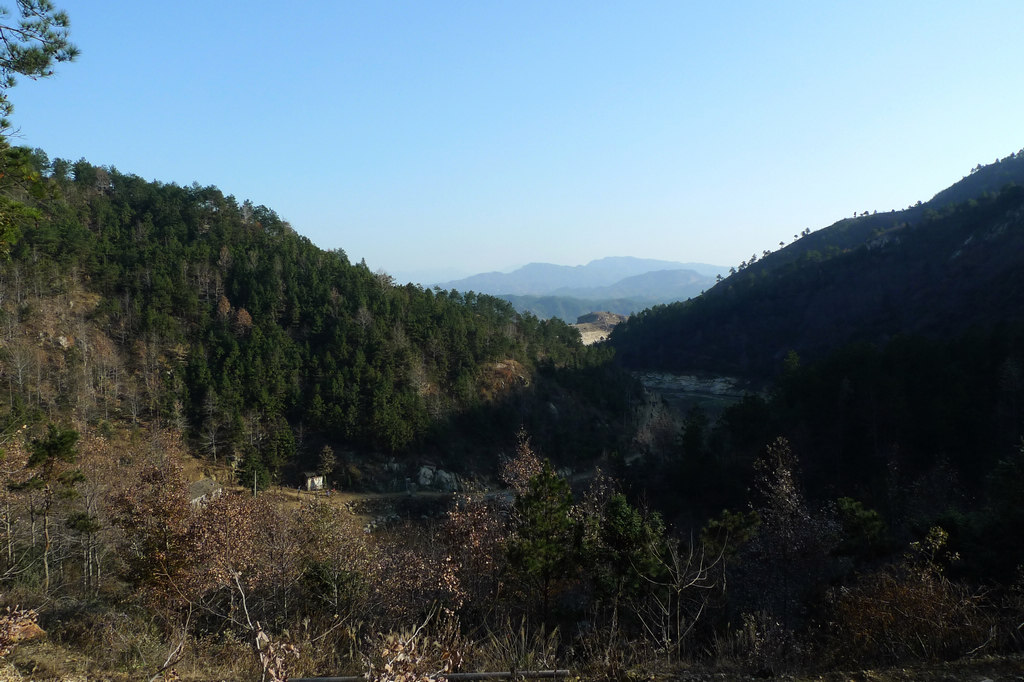 p1050965.jpg