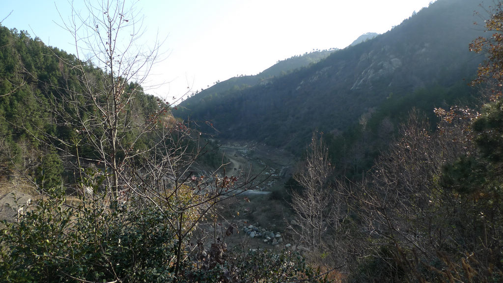 p1050968.jpg