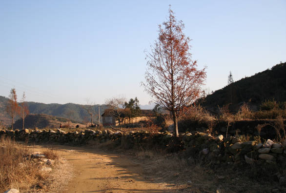 img_3632.jpg
