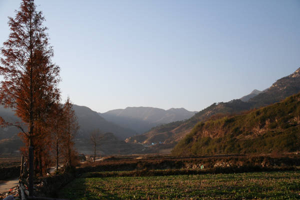 img_3639.jpg