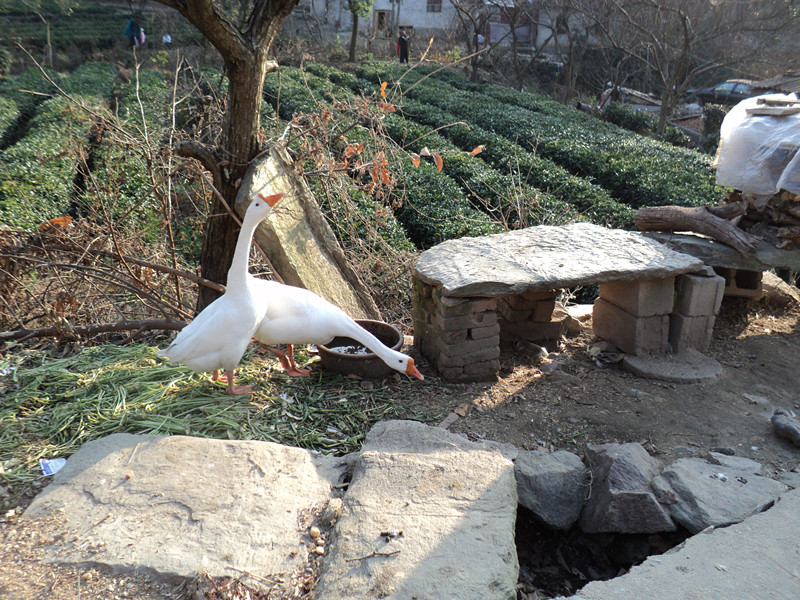 dsc06626_.jpg