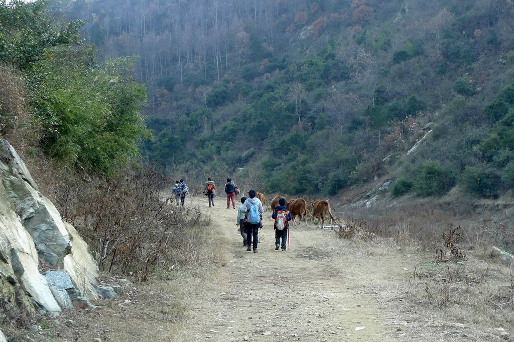 p1050992.jpg