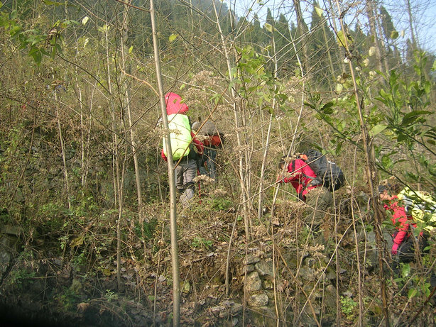 23.jpg