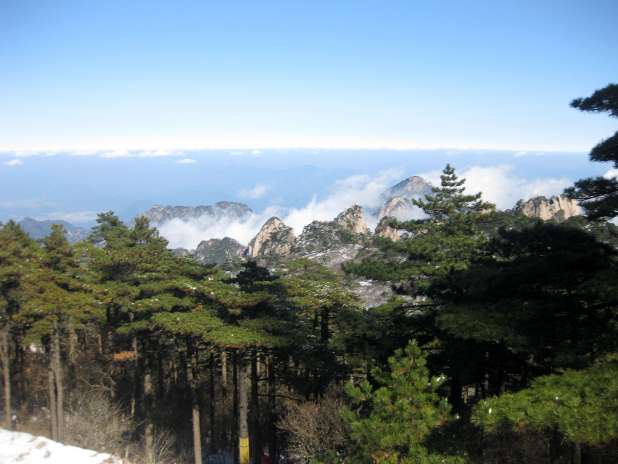 img_8308.jpg