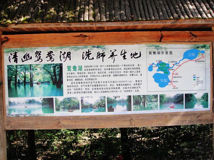 dsc07488.jpg