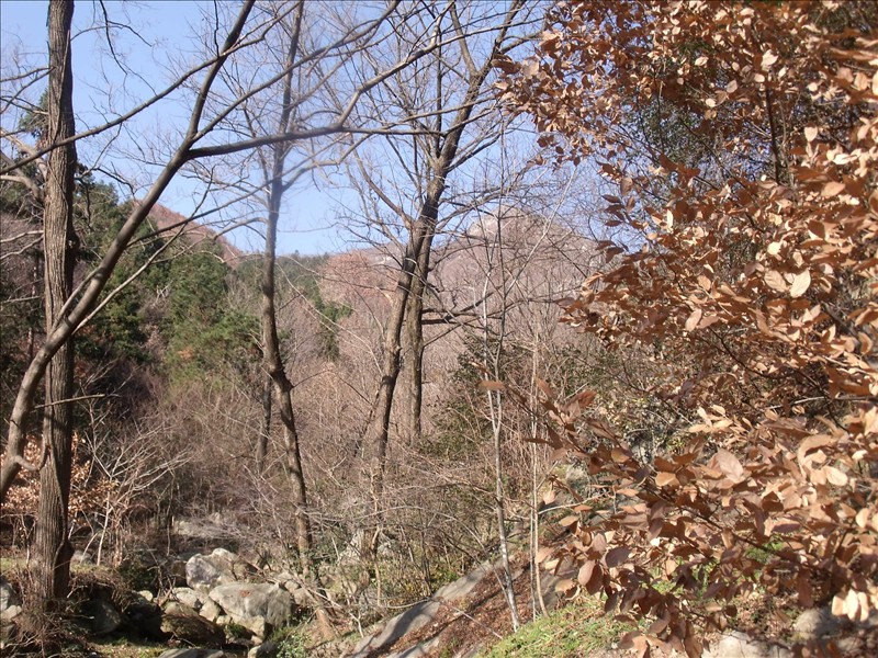 Ͽ 050.jpg