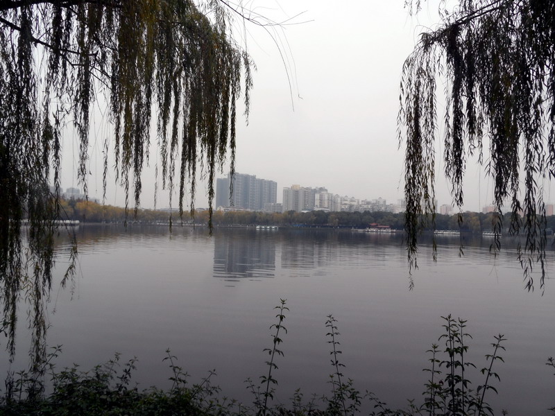 sam_6005_СС.jpg