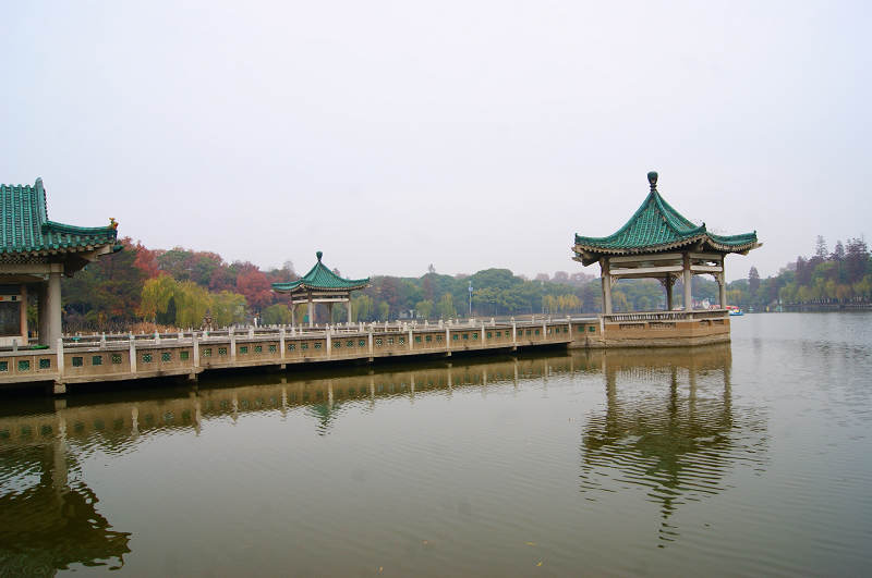 dsc02215.jpg