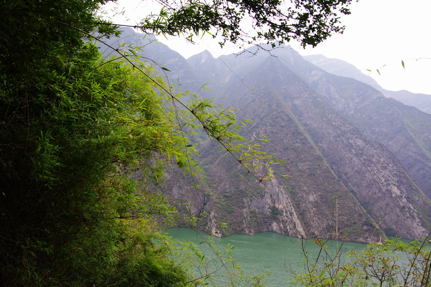С imgp8975.jpg