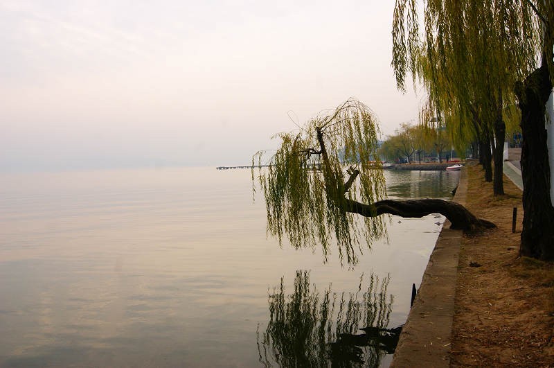 dsc02226.jpg