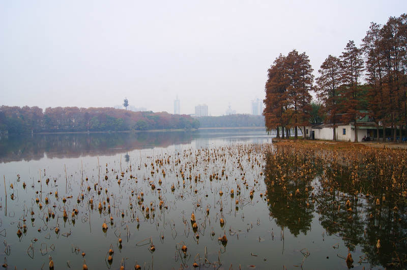 dsc02231.jpg