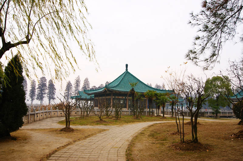 dsc02212.jpg