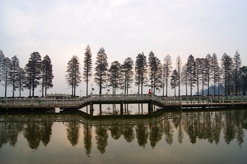 dsc02214.jpg