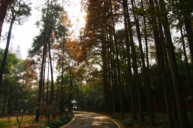 dsc02242.jpg