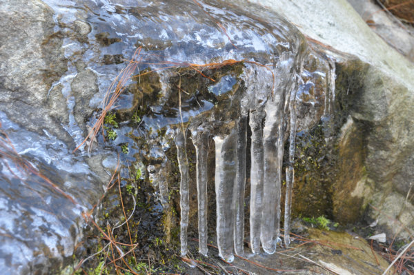 dsc_0019.jpg