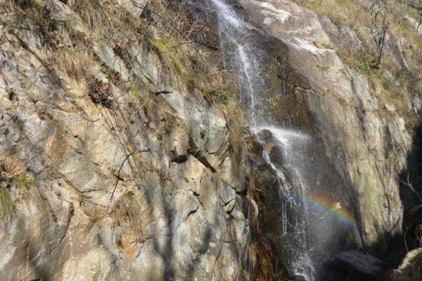 dsc_0044.jpg