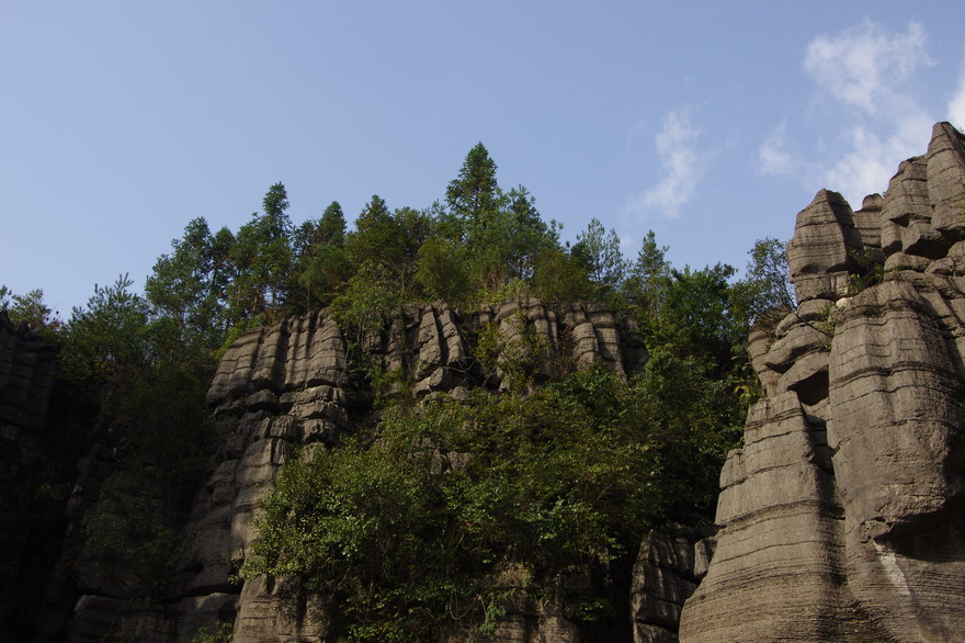 С imgp9699.jpg