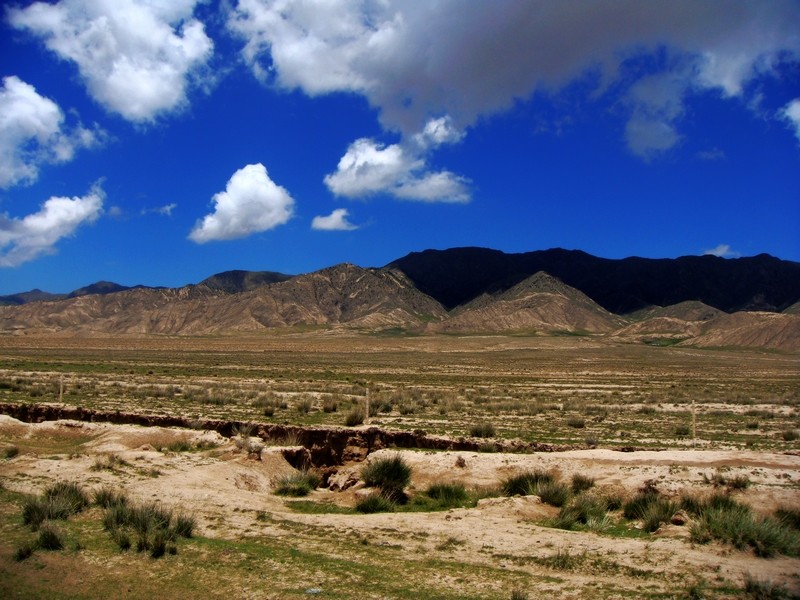 neo_img_dsc06995.jpg