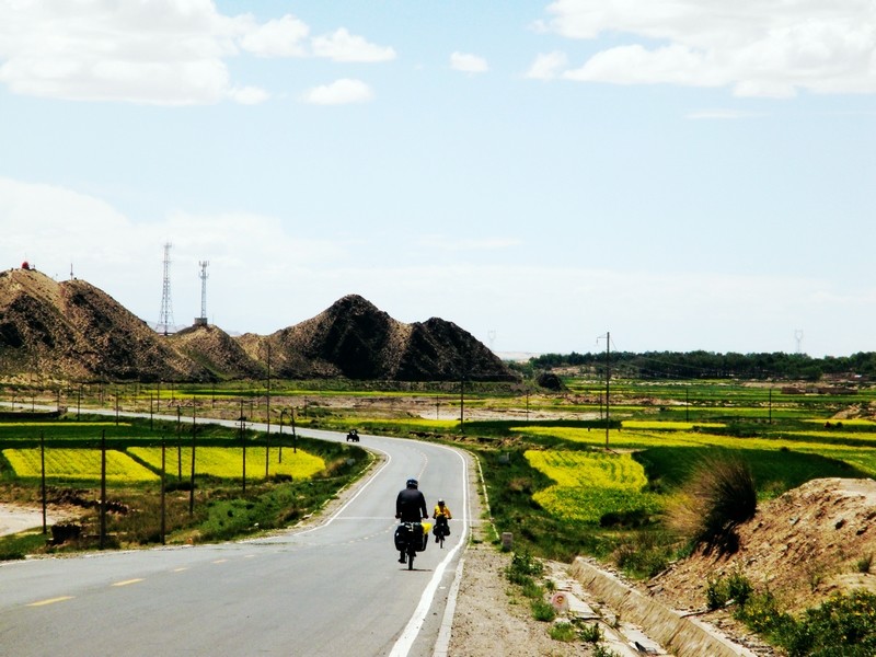neo_img_dsc06996.jpg