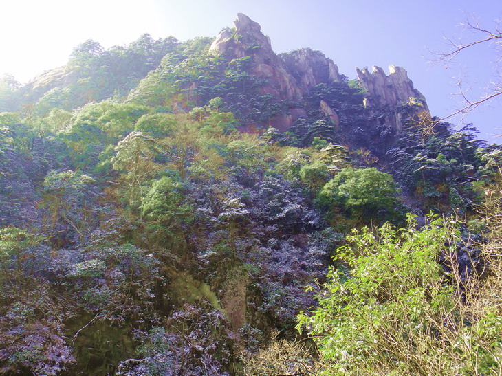dsc00010.jpg