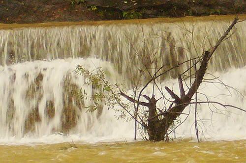 p1050309.jpg