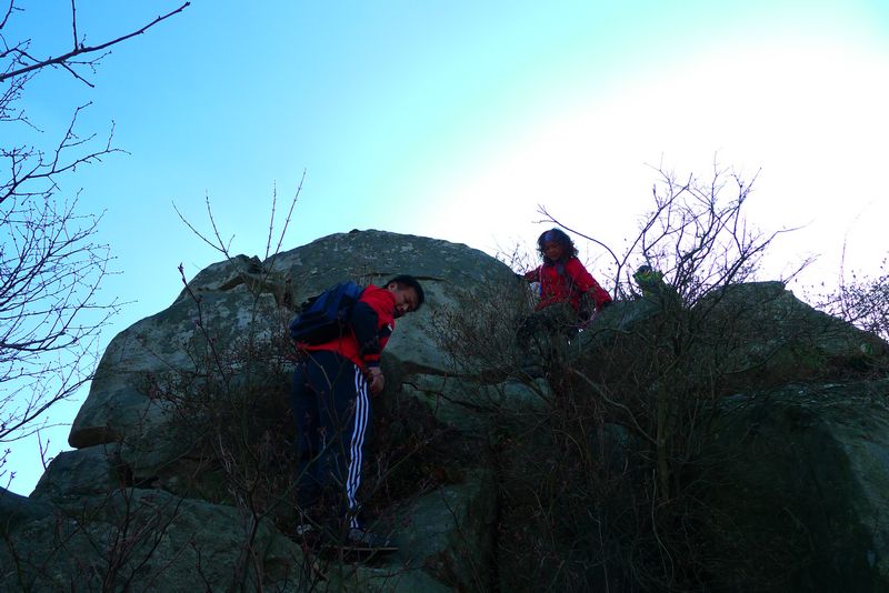 p1150852.jpg