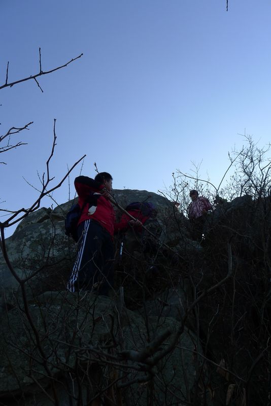 p1150854.jpg