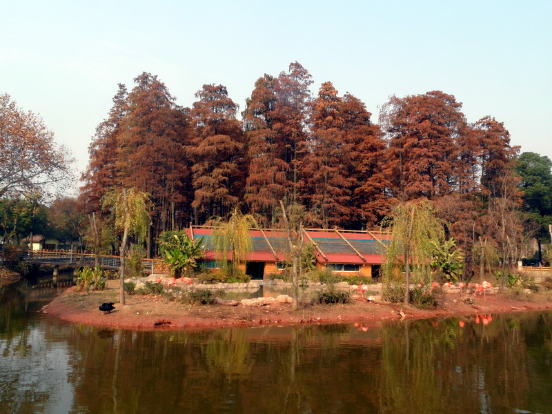 sam_5888_СС.jpg