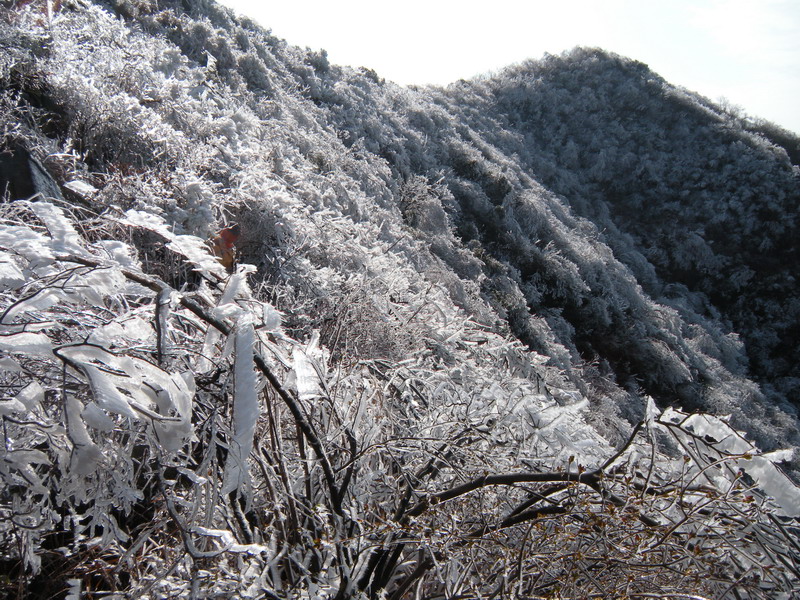 201112̫ɽѻ 037-1.jpg