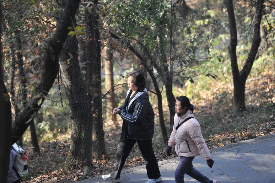 20111211 ж361 103.jpg