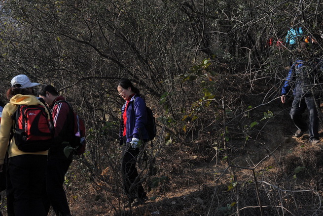 20111211 ж361 113.jpg