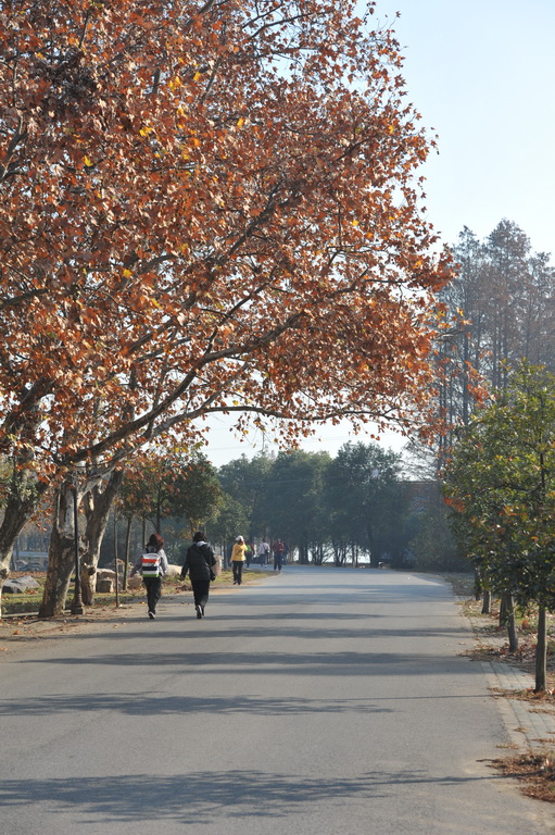 20111211 ж361 119.jpg
