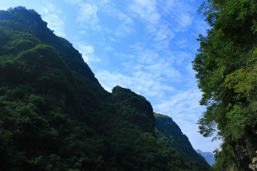 img_3375.jpg