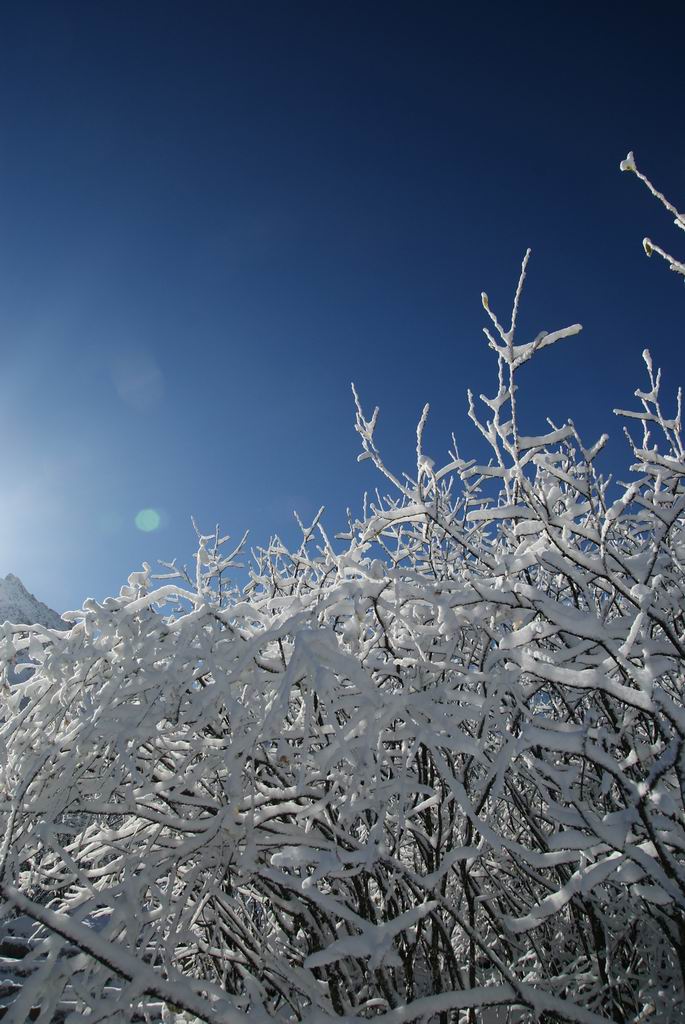 neo_img_dsc01878.jpg
