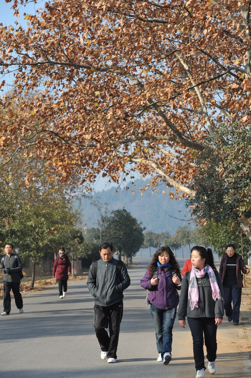 20111211 ж361 127.jpg