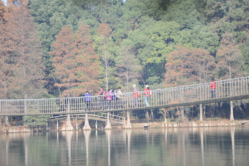 20111211 ж361 150.jpg