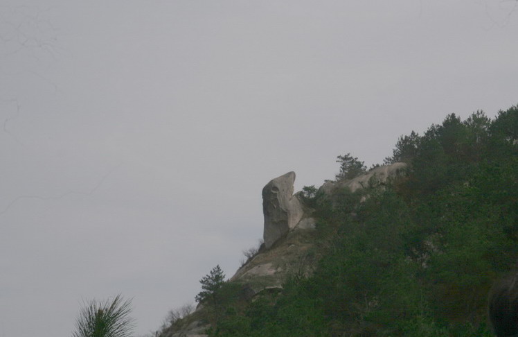 img_0753_С.jpg