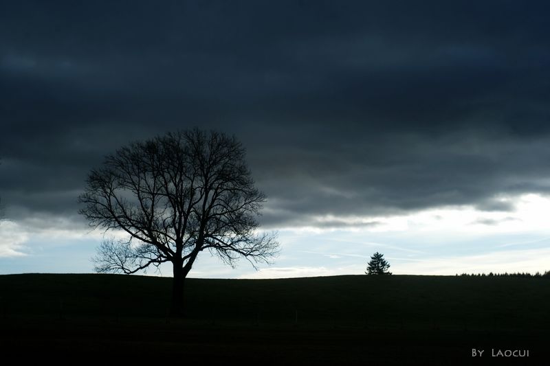 l1019446.jpg