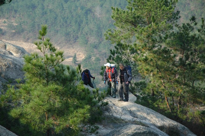 dsc_0826.jpg