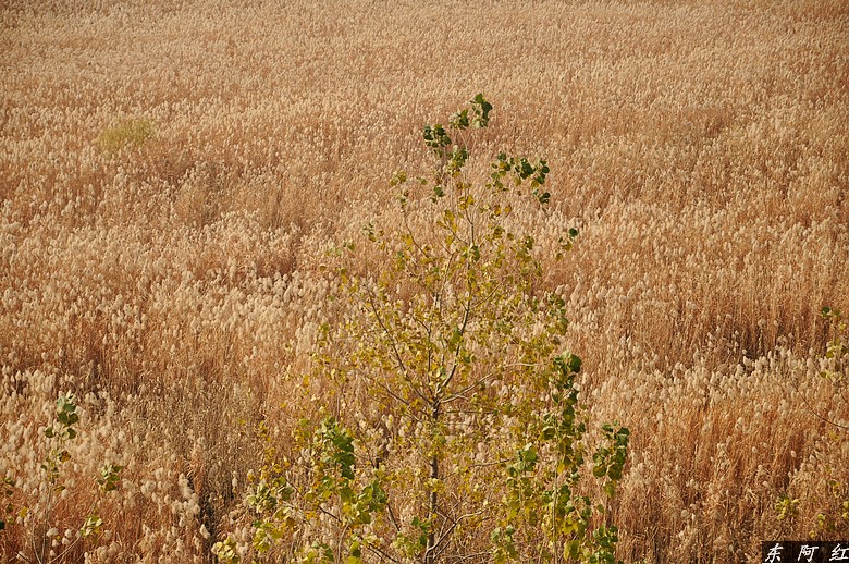 dsc_0399.jpg