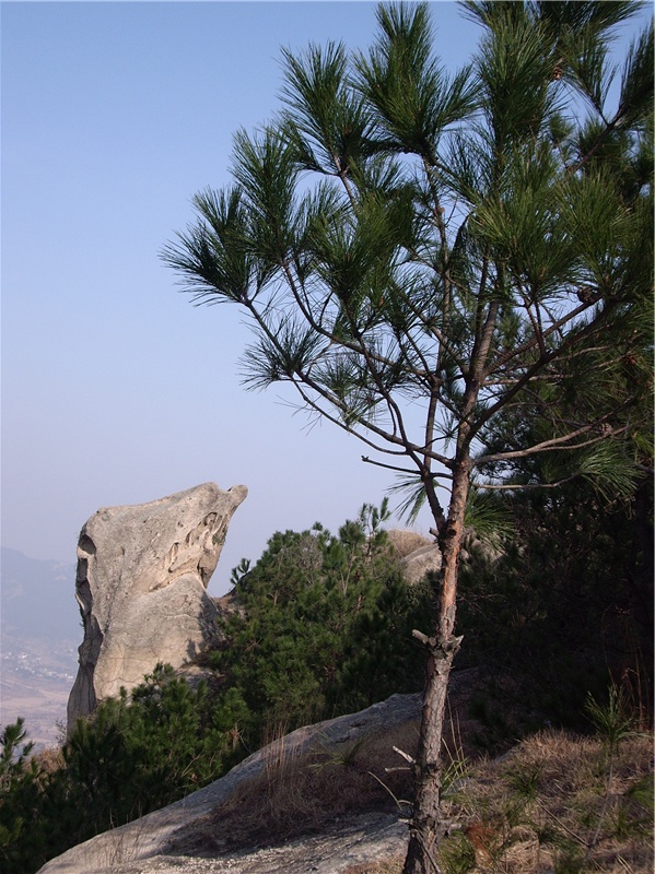 imgp2279_.jpg