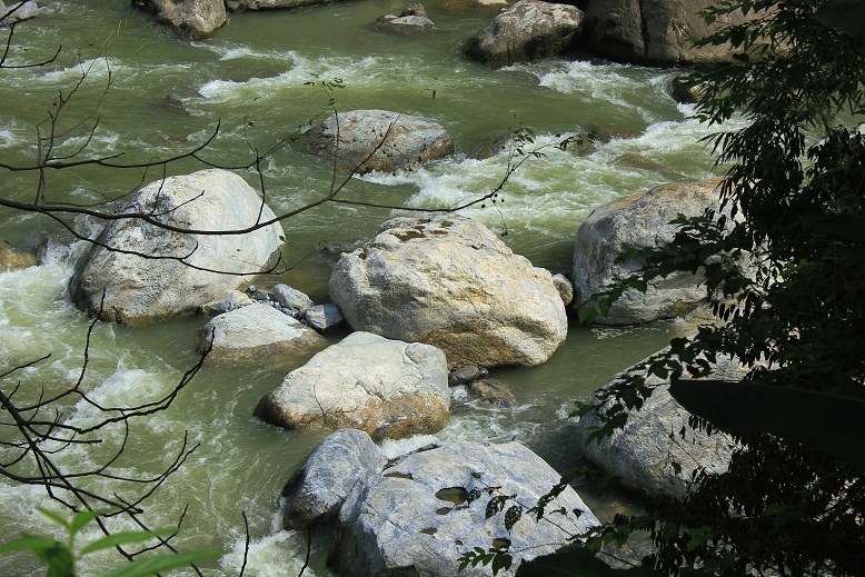 img_3447.jpg
